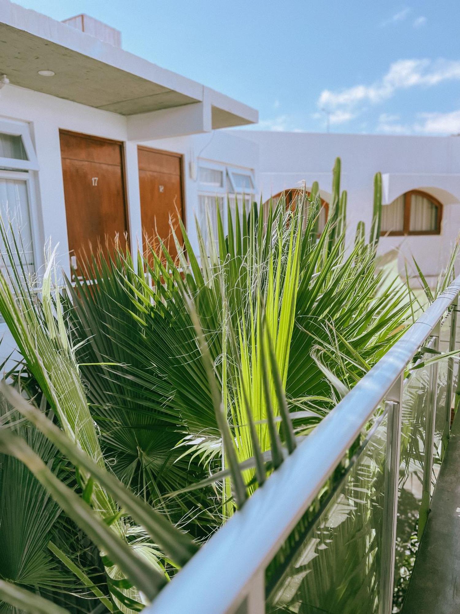 Hotel Puerto Chinchorro Arica Buitenkant foto